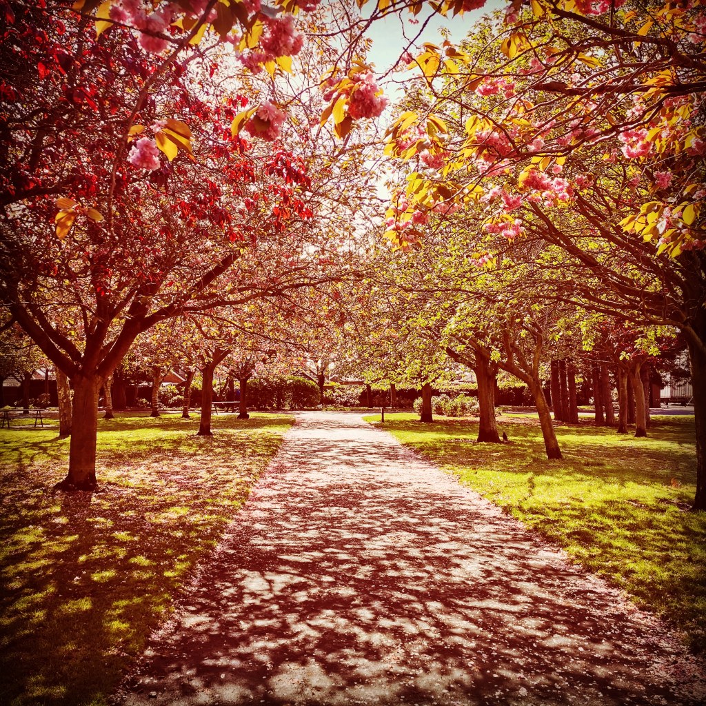 Photo competition winner